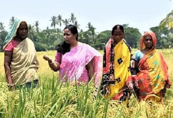 இந்திய பெண் விஞ்ஞானி சுவாதிக்கு சர்வதேச விருது