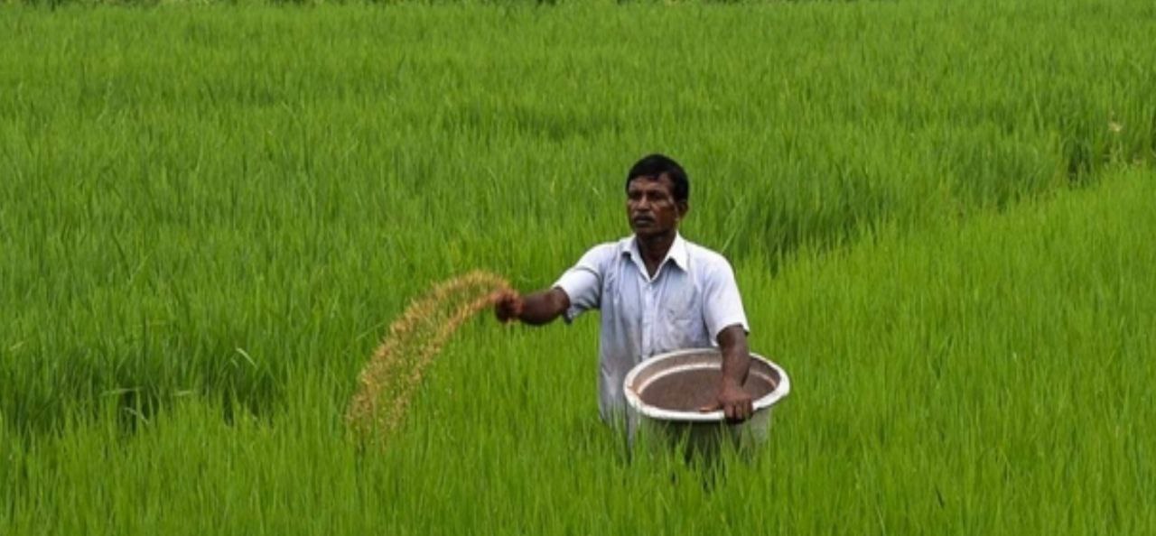 நவம்பர் 15க்குள் பயிர் காப்பீடு செய்ய வேண்டும் – வேளாண் அமைச்சர் எம் ஆர் கே பன்னீர்செல்வம் அறிவுறுத்தல்