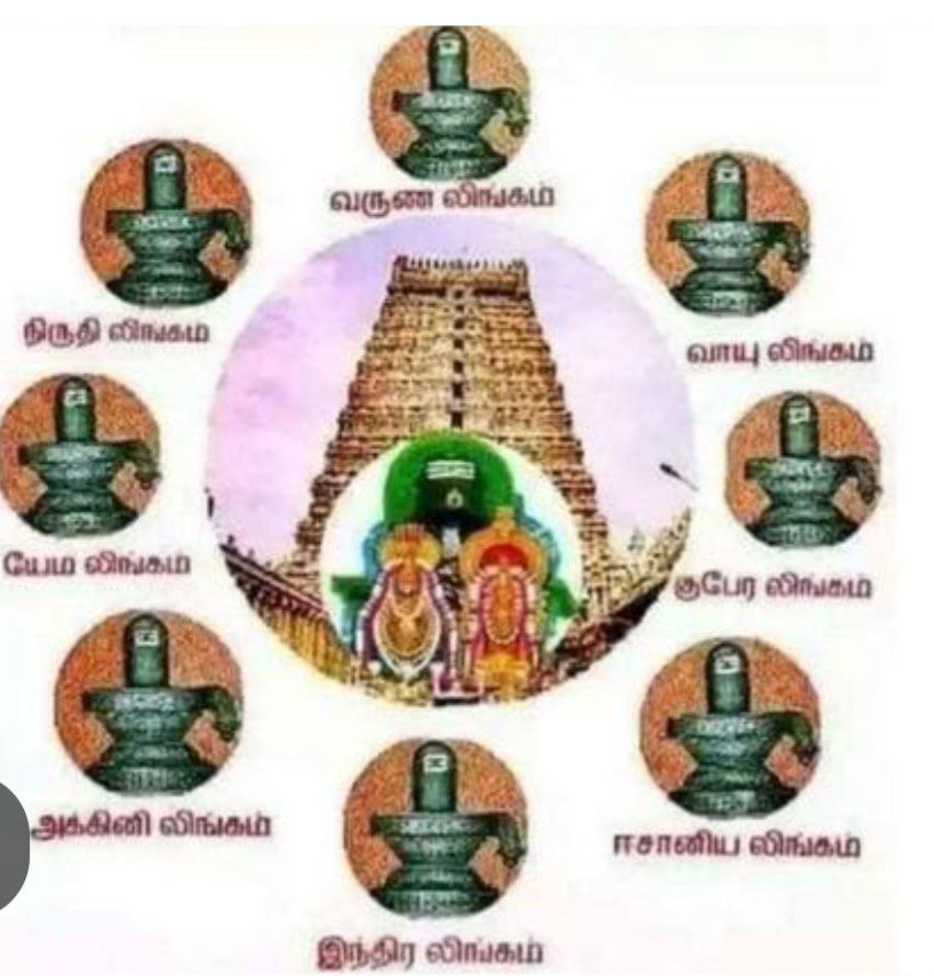 திருவண்ணாமலை கோயிலில் பௌர்ணமி கிரிவலம் காண்பதற்காக பக்தர்கள் கூட்டம் அலைமோதியது!